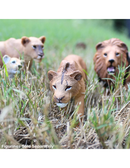 Figurine Lion Adolescent Mâle – Animaux Sauvages | Safari Ltd®
