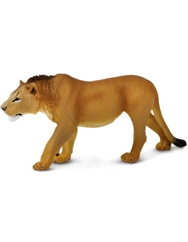 Figurine Lion Adolescent Mâle – Animaux Sauvages | Safari Ltd®