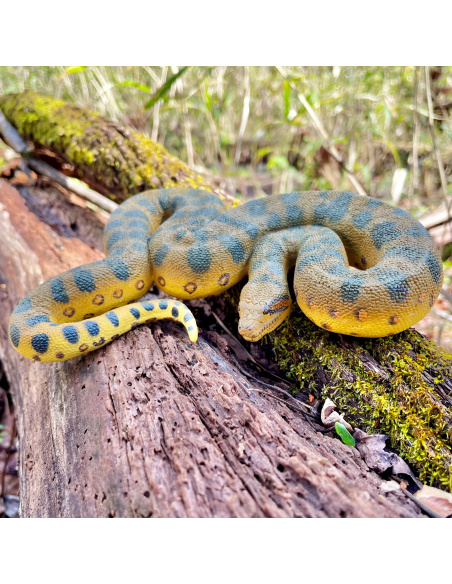 Anaconda vert Safari Ltd - Figurine réaliste 100688