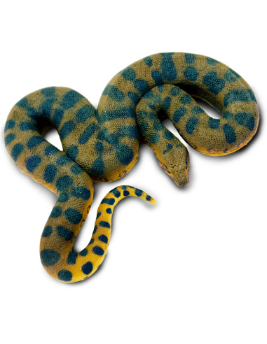 Anaconda vert Safari Ltd - Figurine réaliste 100688