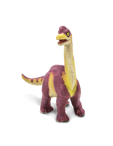 Figurine Bébé Brachiosaure – Dinosaures Sauropodes | Safari Ltd®