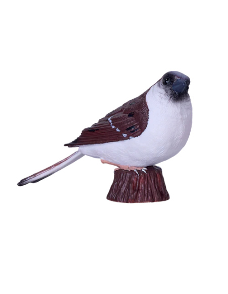 Figurine Moineau domestique Mojo – Oiseau réaliste Passer domesticus
