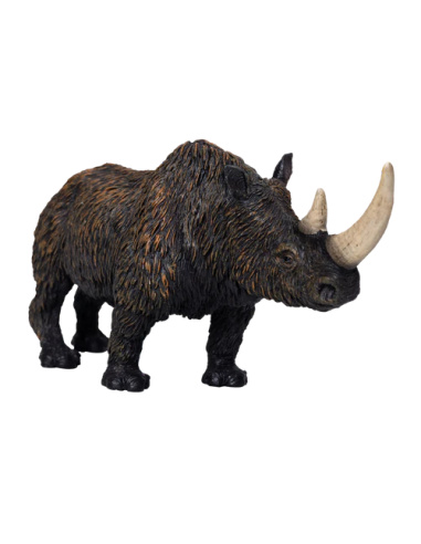 Figurine Rhinocéros laineux – Coelodonta antiquitatis XL – Mojo