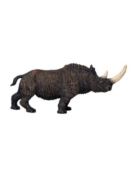 Figurine Rhinocéros laineux – Coelodonta antiquitatis XL – Mojo