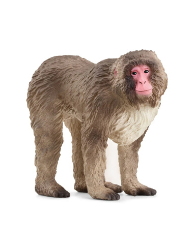Macaque Japonais Figurine Schleich | Primate Neiges