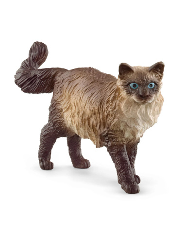 Chat Ragdoll Figurine Schleich 13940 | Lesminis.fr
