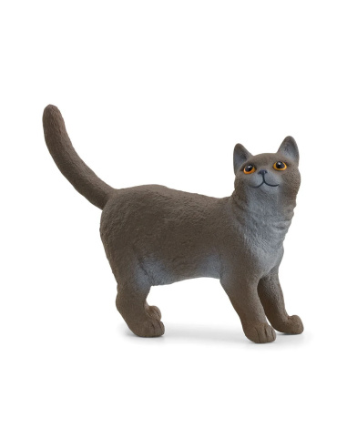 British Shorthair Figurine Schleich | Chat Britannique