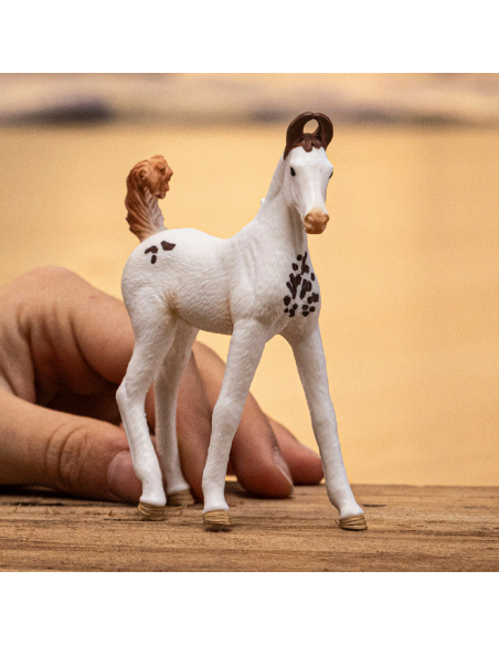 Poulain Marwari Figurine Schleich | Cheval Indien