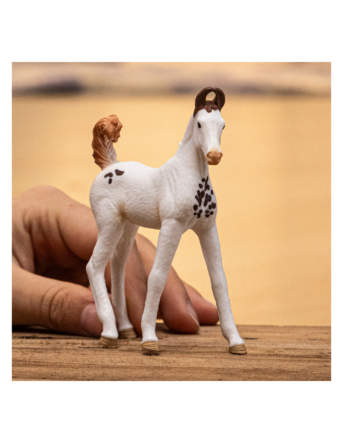 Schleich Poulain Marwari - Figurine Réaliste 7x3x8 Cm - Cheval Indien Aux Oreilles Recourbées - HORSE CLUB Dès 5 Ans