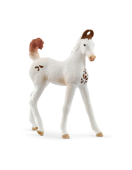 Poulain Marwari Figurine Schleich | Cheval Indien