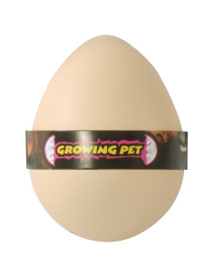 Œuf Dinosaure à Faire Éclore - Jouet Surprise qui Grandit dans l'Eau