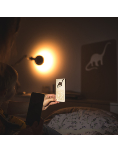 Théâtre d'Ombres Dinosaures - Mini Jeu Projection Cartes Bois