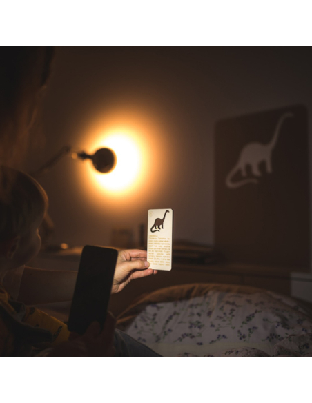 Théâtre d'Ombres Dinosaures - Mini Jeu Projection Cartes Bois