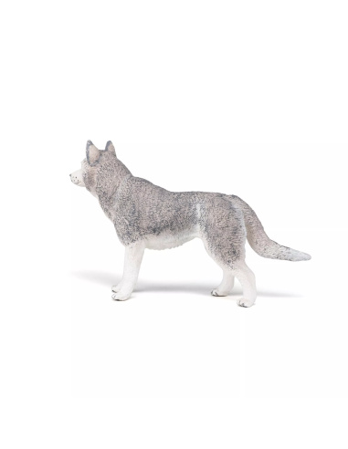 Figurine Husky Sibérie Papo - Canidé Nordique