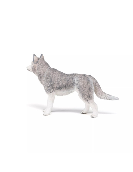 Figurine Husky Sibérie Papo - Canidé Nordique