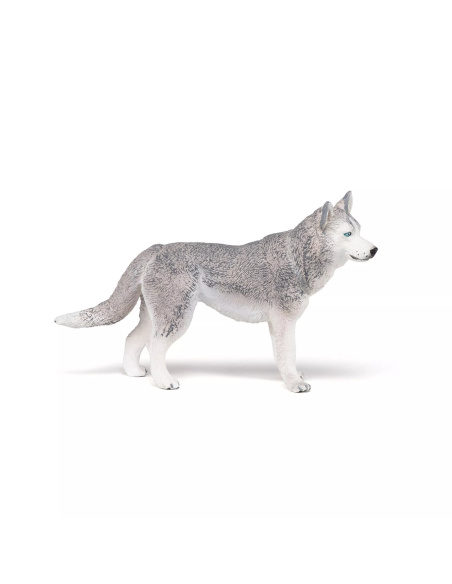 Figurine Husky Sibérie Papo - Canidé Nordique
