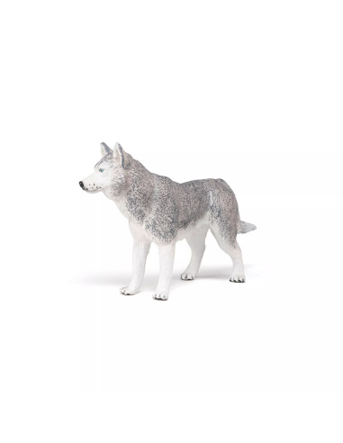 Figurine Husky Sibérie Papo - Canidé Nordique