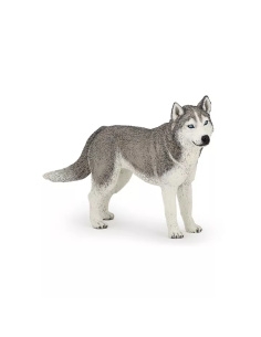 Figurine Husky Sibérie Papo - Canidé Nordique