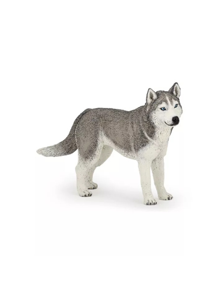 Figurine Husky Sibérie Papo - Canidé Nordique