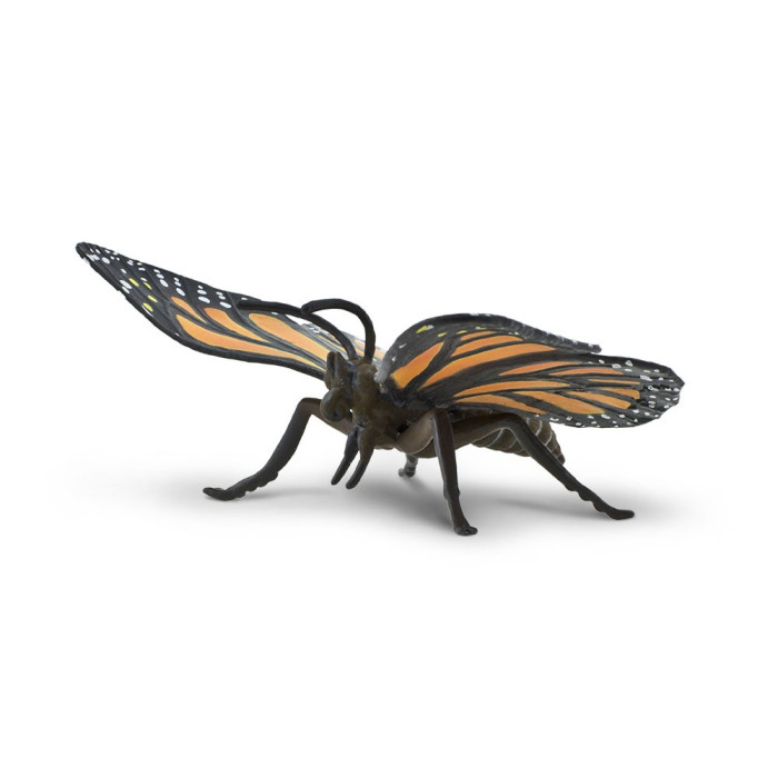 Figurine papillon (modèle géant 11.5cm) échelle 1:1.1 - Safari Ltd® 542406 Safari Ltd® 542406  Insectes et reptiles - 5