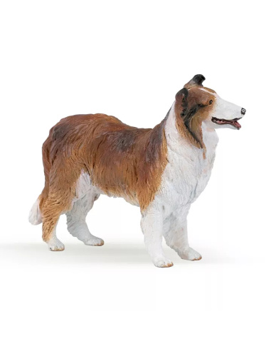 Colley Papo 30230 - Figurine Chien de Berger Écossais | Border Collie Lassie