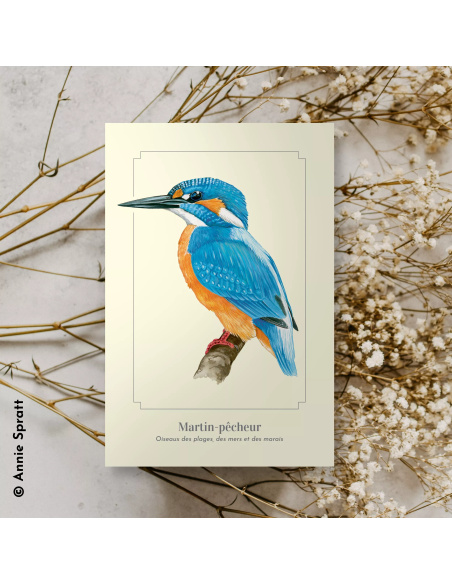 Carte Montessori Martin‑pêcheur – Découverte visuelle de l’oiseau des rivières