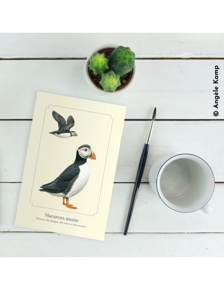 Carte Montessori Macareux moine – Oiseau marin