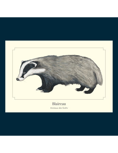 Carte Montessori Blaireau – Mammifère de la forêt