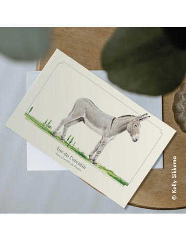 Carte Montessori Âne du Cotentin – Compagnon normand