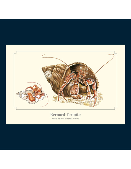 Carte Montessori Bernard-l’ermite – Crustacé côtiers