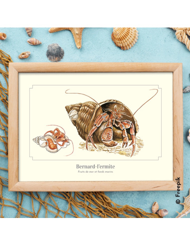 Carte Montessori Bernard-l’ermite – Crustacé côtiers