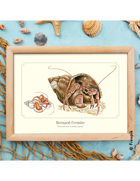 Carte Montessori Bernard-l’ermite – Crustacé côtiers