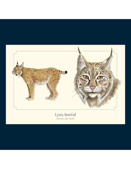 Carte Montessori Lynx boréal – Félin furtif