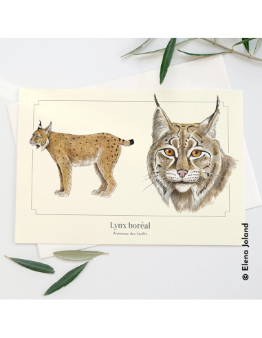 Carte Montessori Lynx boréal – Félin furtif