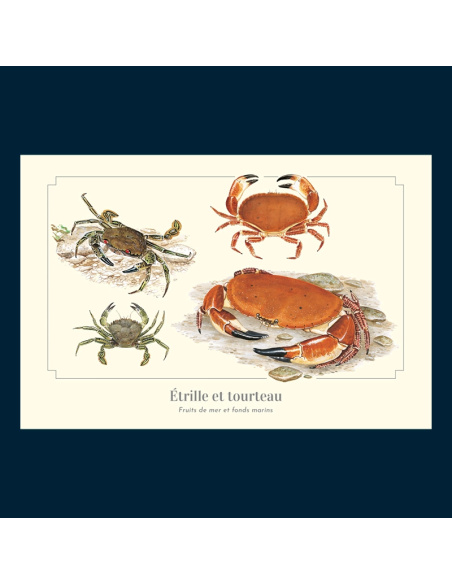 Carte Montessori Étrille et Tourteau – Crustacés côtiers