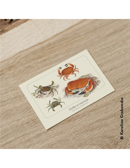 Carte Montessori Étrille et Tourteau – Crustacés côtiers