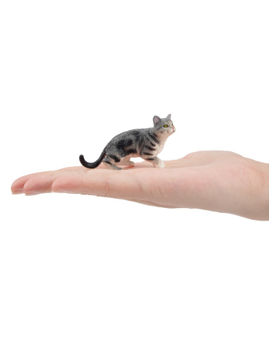 Figurine chat American Shorthair Toymany