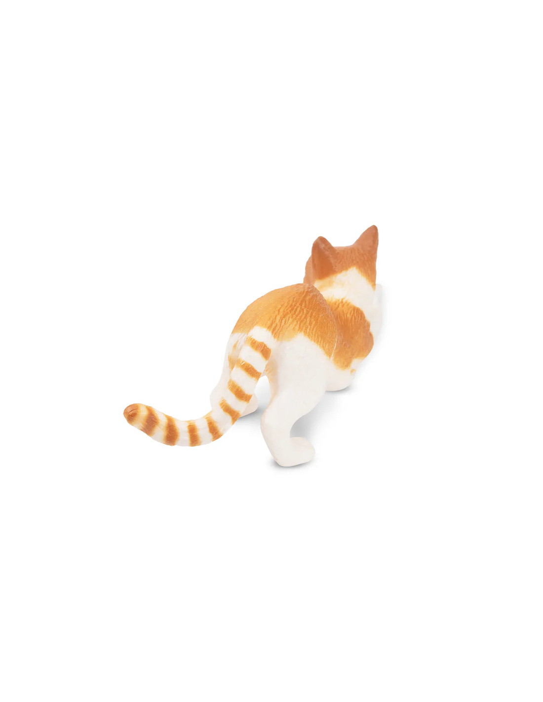 Chat tigré orange miniature avec chatons blancs et