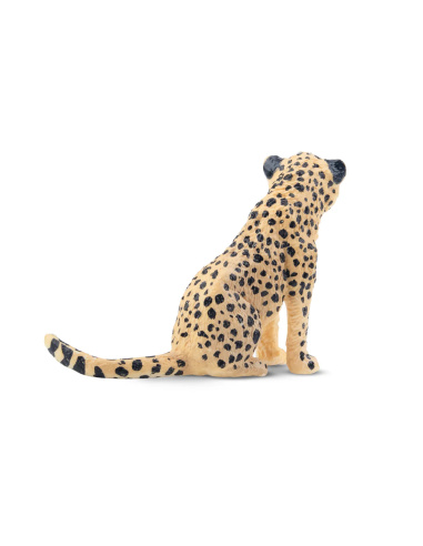 Figurine bébé guépard (assis) ToyMany