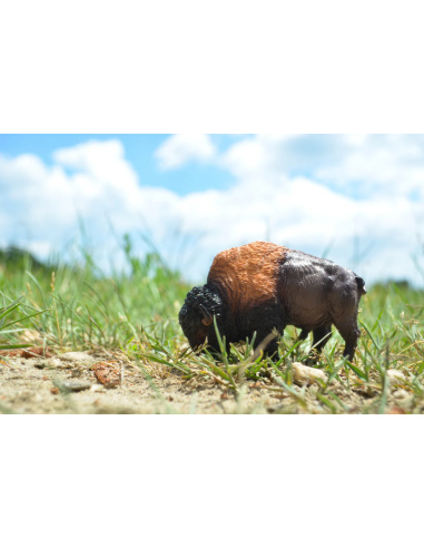 Figurine bison d’Amérique ToyMany
