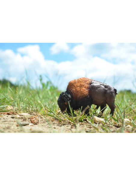 Figurine bison d’Amérique ToyMany