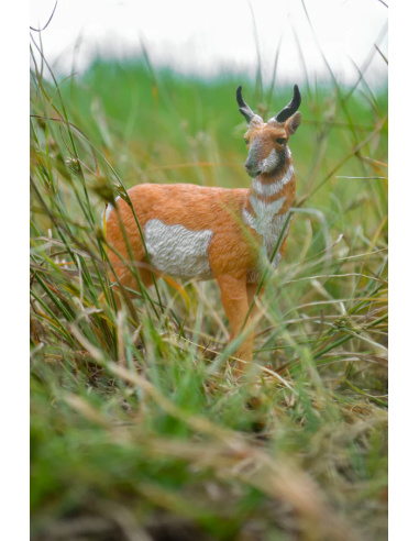 Figurine antilocapre d’Amérique ToyMany