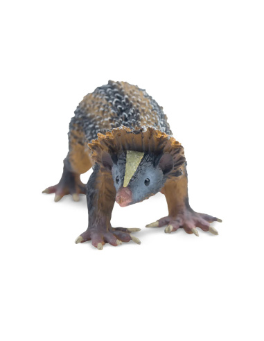 Figurine tenrec zébré (de plaine) ToyMany