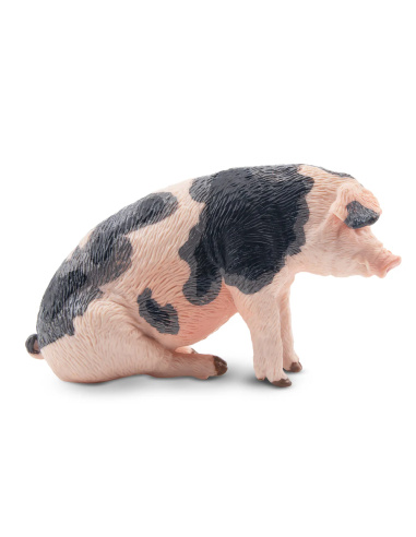 Figurine cochon Pietrain mâle ToyMany
