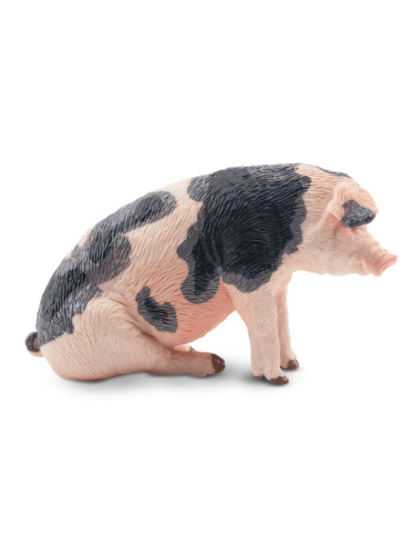 Figurine cochon Pietrain mâle ToyMany