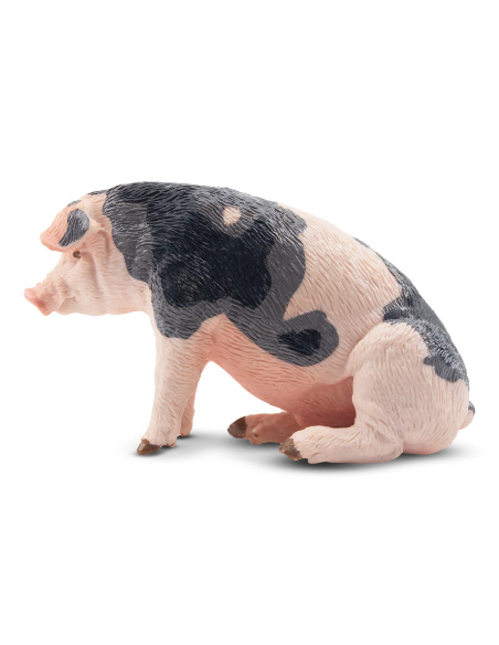 Figurine cochon Pietrain mâle ToyMany