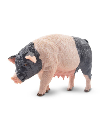 Figurine truie Pietrain ToyMany