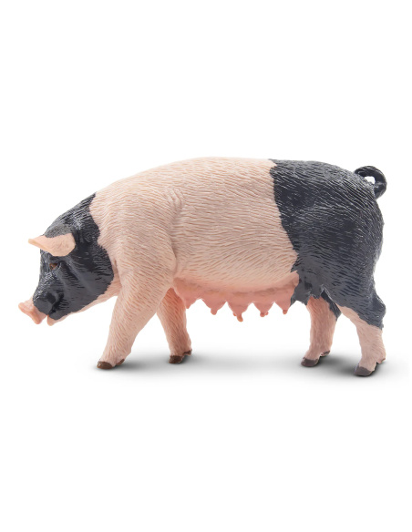 Figurine truie Pietrain ToyMany