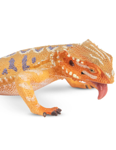 Figurine dragon barbu ToyMany