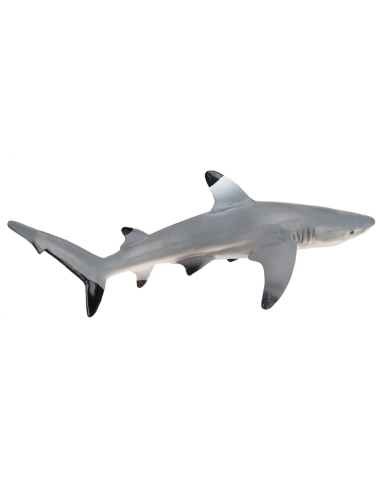 Figurine requin à pointe noire des récifs ToyMany